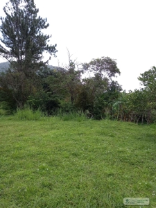 Lot For Sale In El Valle De Anton Panama - image 7