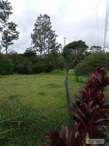 Lot For Sale In El Valle De Anton Panama - image 20