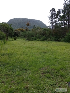 Lot For Sale In El Valle De Anton Panama - image 16