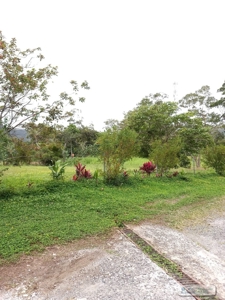 Lot For Sale In El Valle De Anton Panama - image 17