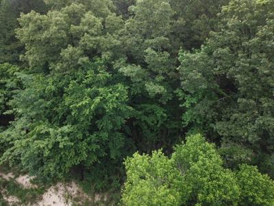 Large Tract on Piney Creek - image 14