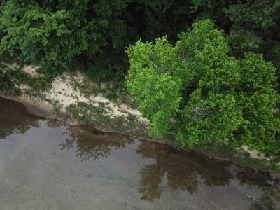 Large Tract on Piney Creek - image 13