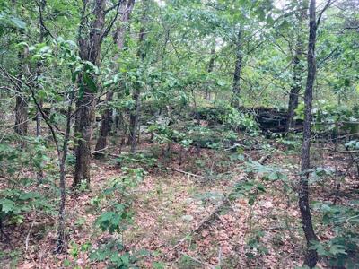 Large Tract on Piney Creek - image 5