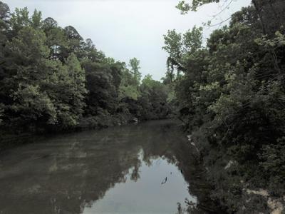 Large Tract on Piney Creek - image 9