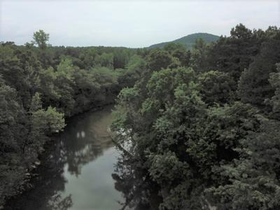 Large Tract on Piney Creek - image 16