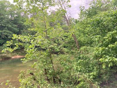 Large Tract on Piney Creek - image 7