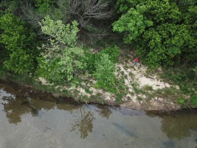 Large Tract on Piney Creek - image 11