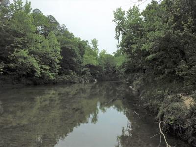 Large Tract on Piney Creek - image 10