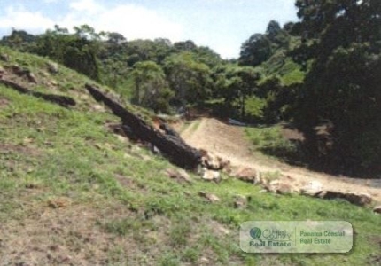 5.8 Hectares Farm With House And Pool For Sale In Bejuco Cha - image 26