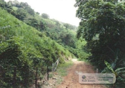 5.8 Hectares Farm With House And Pool For Sale In Bejuco Cha - image 3