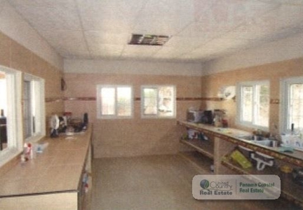5.8 Hectares Farm With House And Pool For Sale In Bejuco Cha - image 10