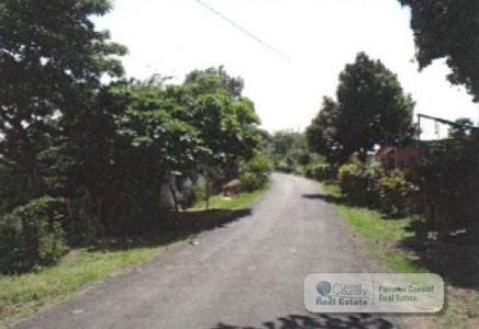 5.8 Hectares Farm With House And Pool For Sale In Bejuco Cha - image 4