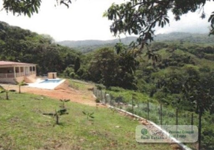 5.8 Hectares Farm With House And Pool For Sale In Bejuco Cha - image 2