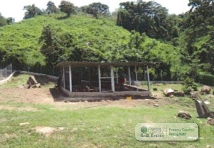 5.8 Hectares Farm With House And Pool For Sale In Bejuco Cha - image 24