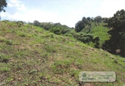 5.8 Hectares Farm With House And Pool For Sale In Bejuco Cha - image 25