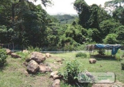 5.8 Hectares Farm With House And Pool For Sale In Bejuco Cha - image 28
