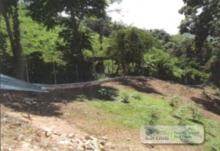 5.8 Hectares Farm With House And Pool For Sale In Bejuco Cha - image 29