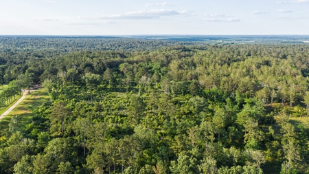 Trinity Riv TX Land for Sale Freestone Co w Hunt Fish Timber - image 17