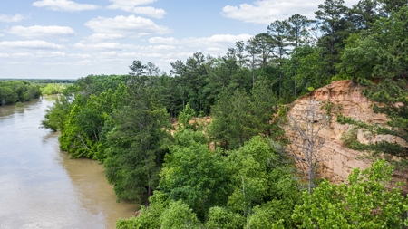 Trinity Riv TX Land for Sale Freestone Co w Hunt Fish Timber - image 11