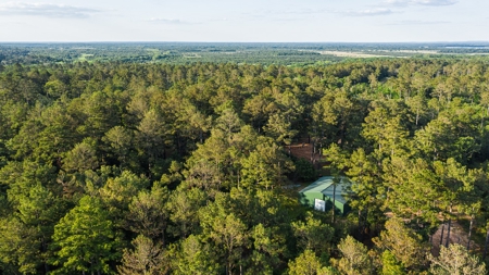 Trinity Riv TX Land for Sale Freestone Co w Hunt Fish Timber - image 22