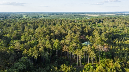 Trinity Riv TX Land for Sale Freestone Co w Hunt Fish Timber - image 21