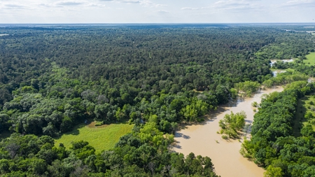Trinity Riv TX Land for Sale Freestone Co w Hunt Fish Timber - image 16