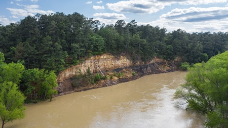 Trinity Riv TX Land for Sale Freestone Co w Hunt Fish Timber - image 10