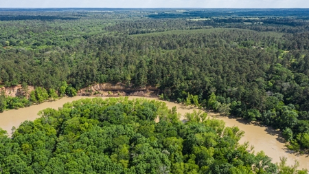 Trinity Riv TX Land for Sale Freestone Co w Hunt Fish Timber - image 7