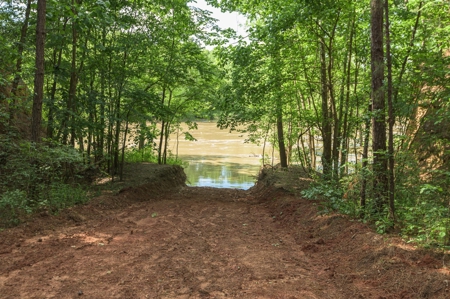 Trinity Riv TX Land for Sale Freestone Co w Hunt Fish Timber - image 23
