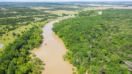 Trinity Riv TX Land for Sale Freestone Co w Hunt Fish Timber - image 6
