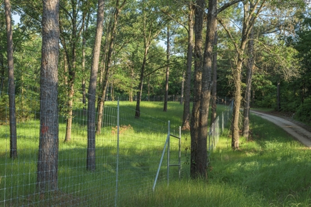 Trinity Riv TX Land for Sale Freestone Co w Hunt Fish Timber - image 28