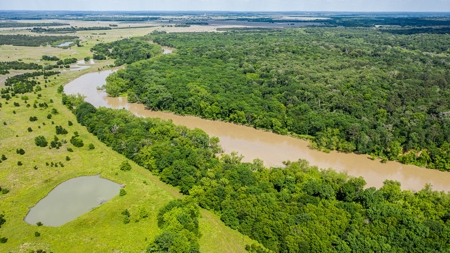 Trinity Riv TX Land for Sale Freestone Co w Hunt Fish Timber - image 8