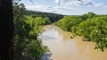Trinity Riv TX Land for Sale Freestone Co w Hunt Fish Timber - image 12