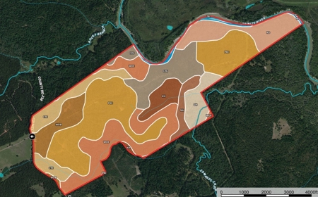 Trinity Riv TX Land for Sale Freestone Co w Hunt Fish Timber - image 34