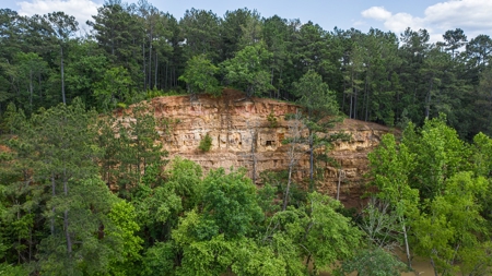 Trinity Riv TX Land for Sale Freestone Co w Hunt Fish Timber - image 9