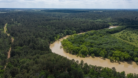 Trinity Riv TX Land for Sale Freestone Co w Hunt Fish Timber - image 2