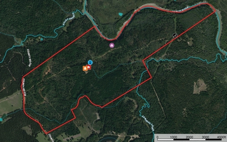 Trinity Riv TX Land for Sale Freestone Co w Hunt Fish Timber - image 32