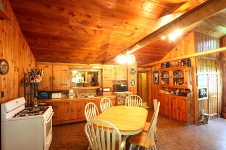 Cabin for sale Atlanta MI - Northern MI - image 1