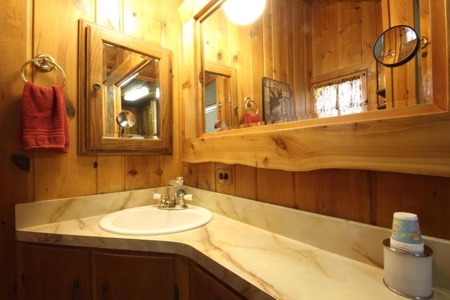 Cabin for sale Atlanta MI - Northern MI - image 16