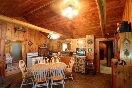 Cabin for sale Atlanta MI - Northern MI - image 3