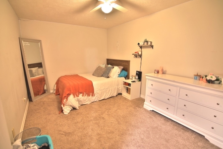 Country Home in Thayer MO - image 38