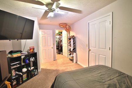 Country Home in Thayer MO - image 41
