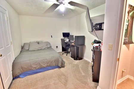 Country Home in Thayer MO - image 40