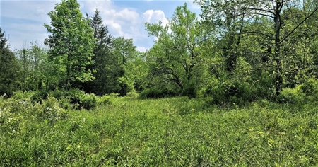 54.607 secluded acres in Adams County Ohio - image 36