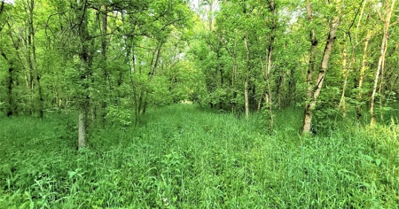 54.607 secluded acres in Adams County Ohio - image 32