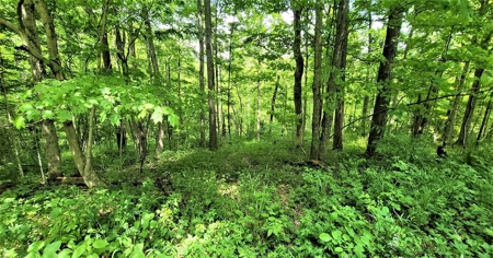 54.607 secluded acres in Adams County Ohio - image 29