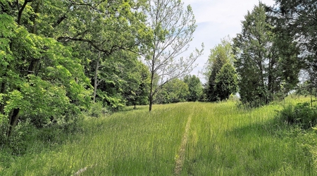 54.607 secluded acres in Adams County Ohio - image 28