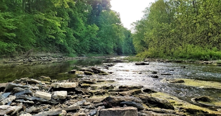 54.607 secluded acres in Adams County Ohio - image 37