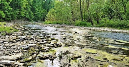 54.607 secluded acres in Adams County Ohio - image 30