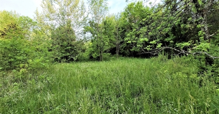 54.607 secluded acres in Adams County Ohio - image 18